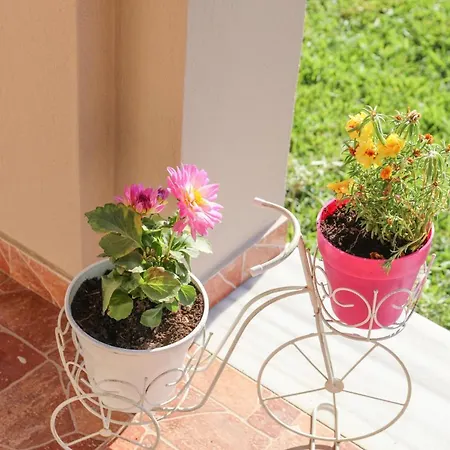 Tramontana House2 Kalivia (Skiathos)